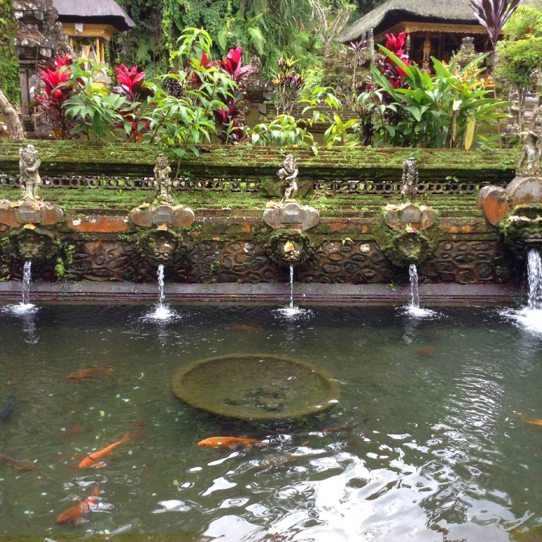 bali18