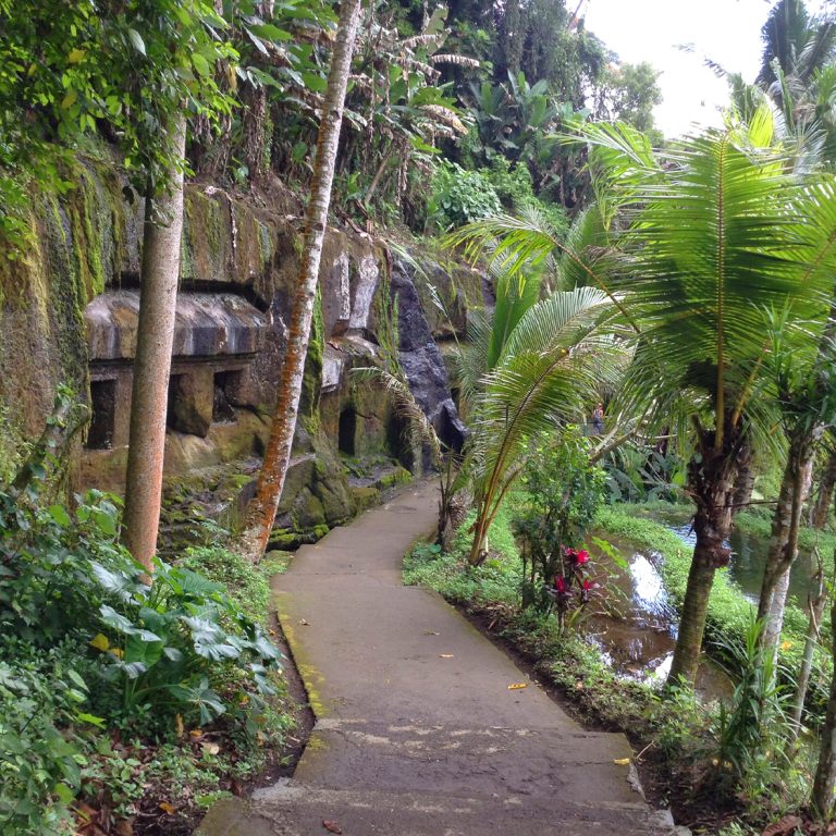 bali20