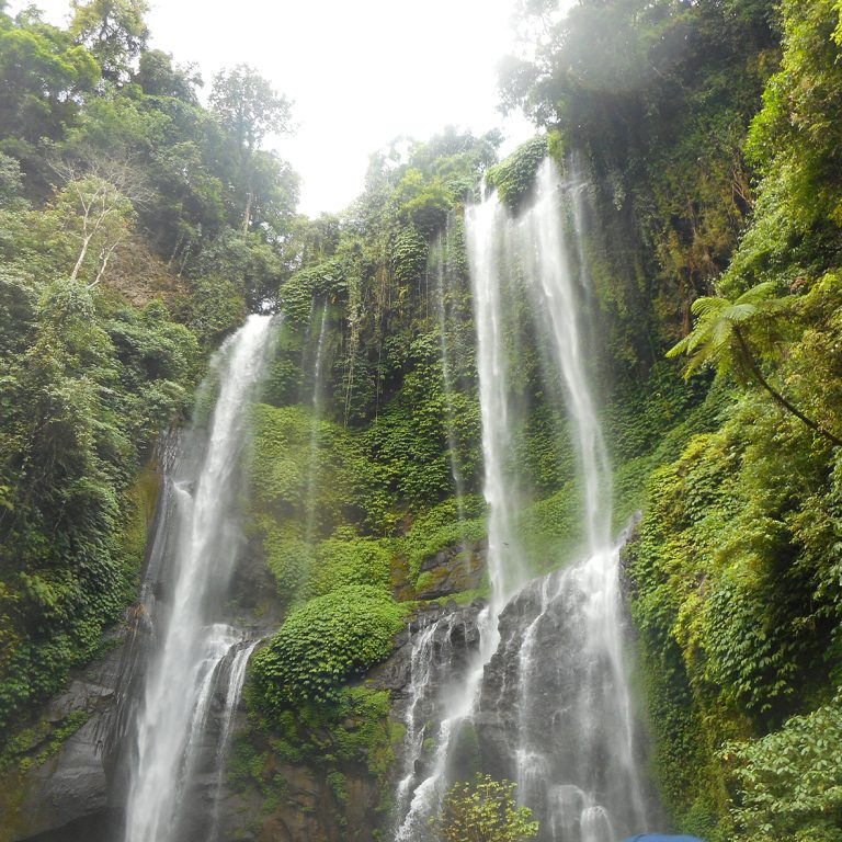 bali3