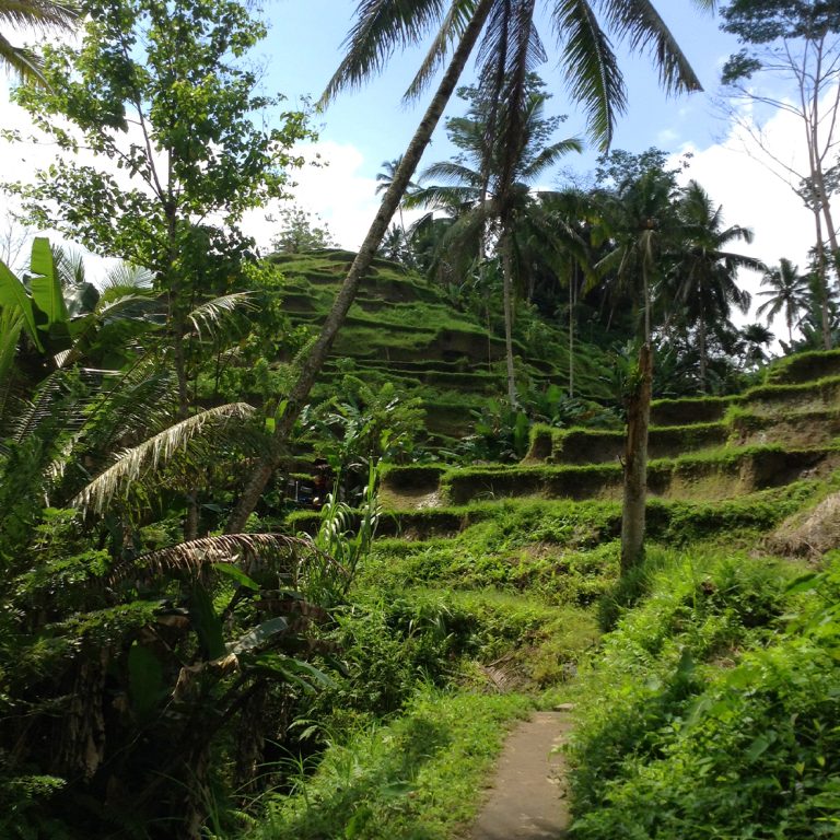bali4